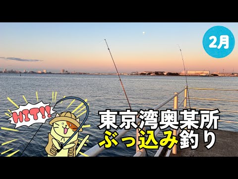 2月の東京湾奥某所でぶっ込み釣り｜早朝２時間だけの短時間釣行で釣れた魚はまさかの・・