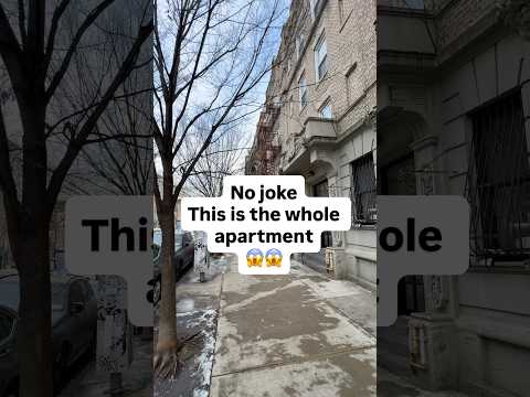 Studio Apartment for Rent in Crown Heights, Brooklyn NY