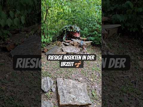 Riesige Insekten in der Urzeit 🦂 #shorts #mystery #dinosaur #jurassicpark #jurassicworld #history