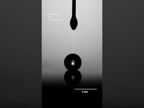 Watch this oil droplet bounce endlessly, like a tiny basketball