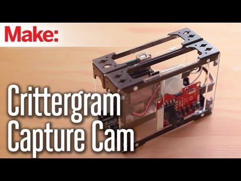 Weekend Projects - Crittergram Capture Cam - UChtY6O8Ahw2cz05PS2GhUbg