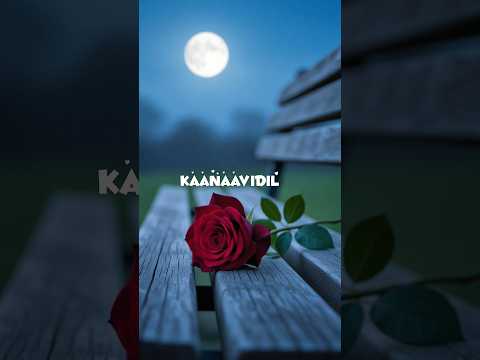 Roja Roja 🌹🕊️[ AR Rahman]