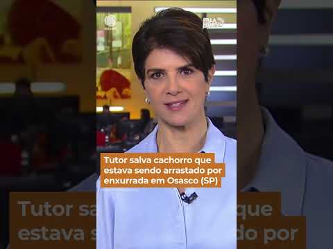 Tutor salva cachorro que estava sendo arrastado por enxurrada em Osasco (SP) #Shorts #FalaBrasil