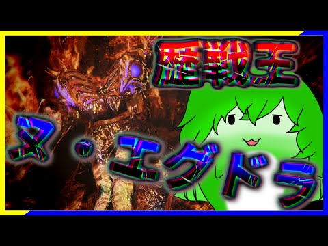 【モンスターハンターワイルズ】歴戦王ヌ・エグドラだぁ!たこ焼きの具材にしてやるぜ!(イベント系もちょっとやる)【実況プレイ】