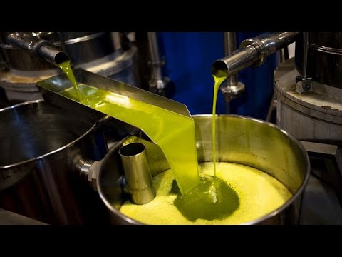 Olio d'oliva, in Spagna esplodono i prezzi