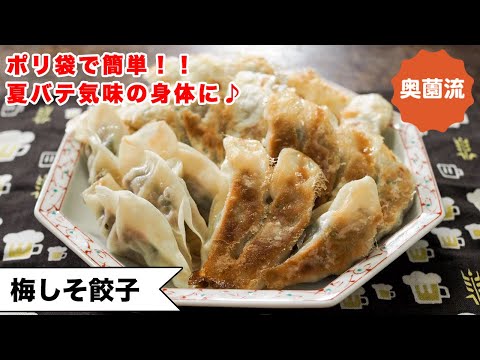 【バテ気味の身体に！やる気なくても作れます】材料3つ！ポリ袋で簡単♪あっさりヘルシー！＜奥薗流・梅しそ餃子＞