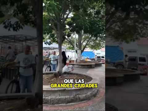 Explorando Andalucía Valle, Colombia. 🇨🇴