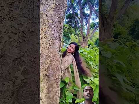 Teri Meri Parm Kakani