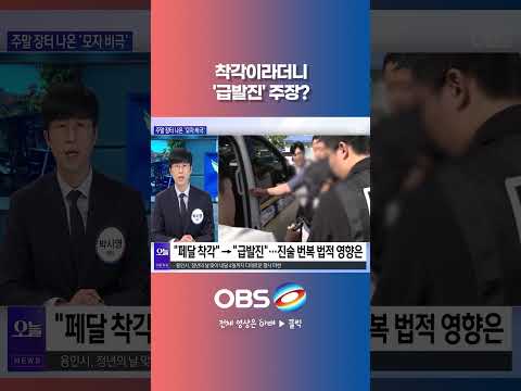 착각이라더니 '급발진' <strong>주장</strong>? #안성나눔장터 #트럭 #돌진사고 #사상자 #급발진