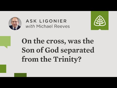 When the wrath of God was poured out for our sins, was the Son of God separated from the Trinity?