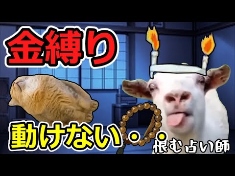 【猫ミーム】金縛りから力業で抜け出す!!