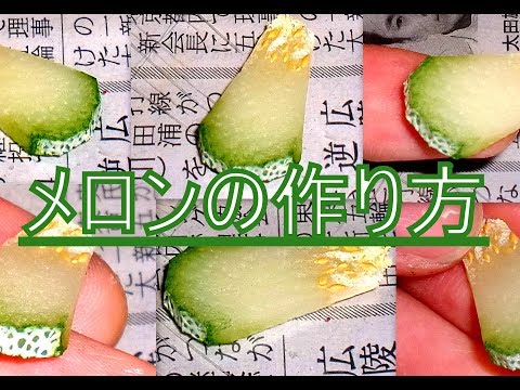 Jellyjewelryクレイチャンネルの最新動画 Youtubeランキング