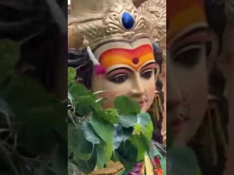 Navratri Visarjan | Anand Kumar's#trend #viralshorts