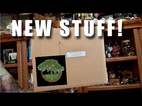 Unboxing a new shipment of Plants and Amphibians f Understory Enterprises is an incredible specialty vendor dealing in captive bred Dart frogs and high