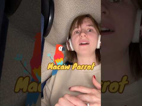Animal and Creature Sounds: Macaw Parrot