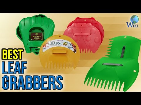 7 Best Leaf Grabbers 2017 - UCXAHpX2xDhmjqtA-ANgsGmw