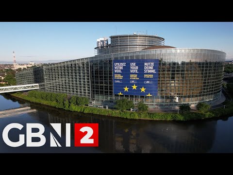 WATCH: ECHR issues decision in Ukrainian, Dutch cases against Russia
