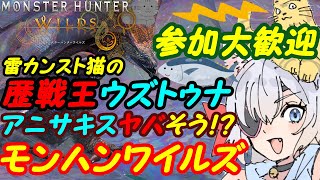 【視聴者参加型】モンスターハンターワイルズ082【VTuber】