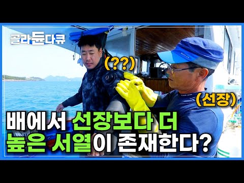 다른 배는 선장님이 대장인데 왜..? 선장님이 서열 꼴찌인 '다이버 배'ㅣ수심 40m 내려가 작업하는 다이버ㅣ여수 꿀조합 삼합 키조개 관자, 삼겹살, 갓김치ㅣ한국기행ㅣ#골라듄다큐