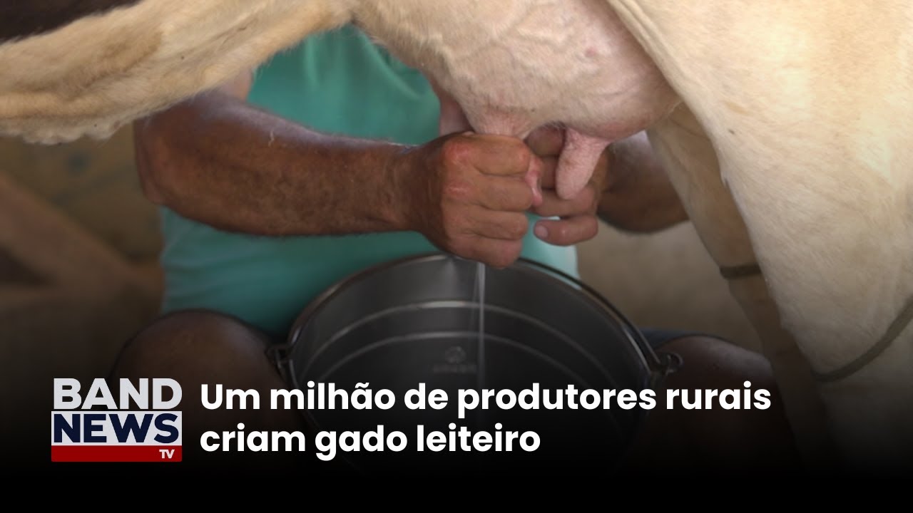 Um milhão de produtores rurais criam gado leitero | BandNews TV
