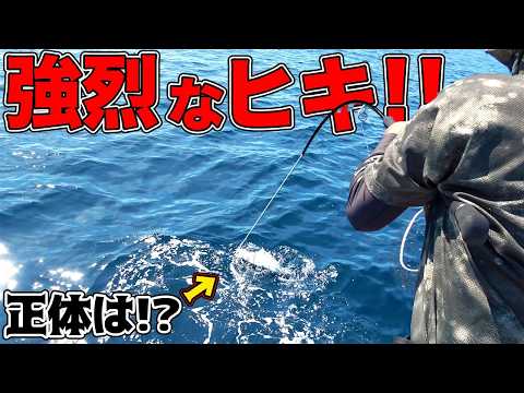 ナブラを発見したら全速力で突っ込む!?強烈なヒキのアイツを釣り上げる!!