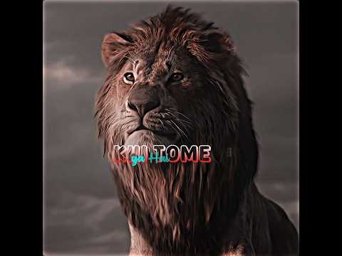 "Simba ki dost aur khatarnak jung ke liye tayar"#Simba #Dost #Jung #Khatarnak #LionKing #Fight