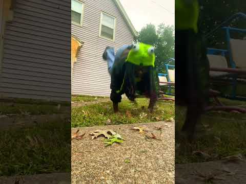 ⒿⓊⓂ︎ⓅⒾⓃⒼ!!