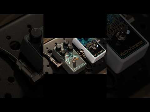 EHX SPRUCE GOOSE + OCTAVTIX