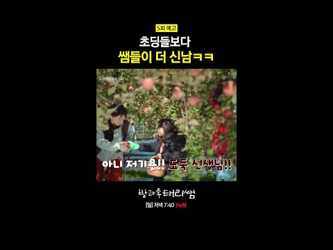 초딩보다 더 초딩같은 쌤들ㅋㅋ | #방과후태리쌤