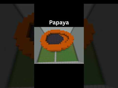Papaya in MC