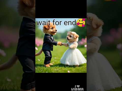 Puppy bride and bridegroom danceingThumak thumak 🥰#shortsfeed #youtubeshorts #viral #cute #dog #pup