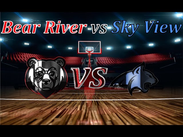 River View Girls Bears Basketball Team is Headed to the State Finals!
