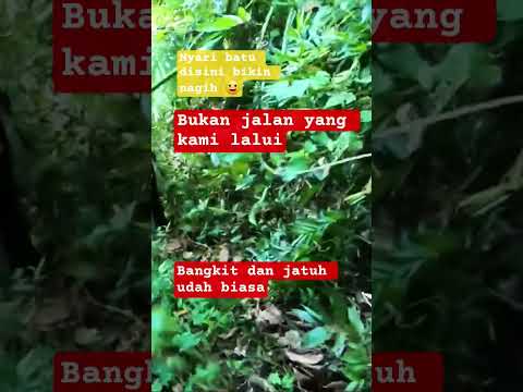 Nyari batu pulangnya mau pingsan, berburu batu di pulau wingit nusakambangan