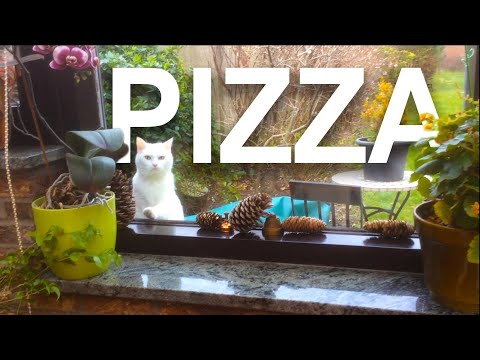 Pizza Parole De Chat