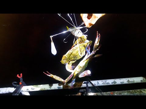 堤防から凄まじい量のカニが超簡単に釣れてしまう。