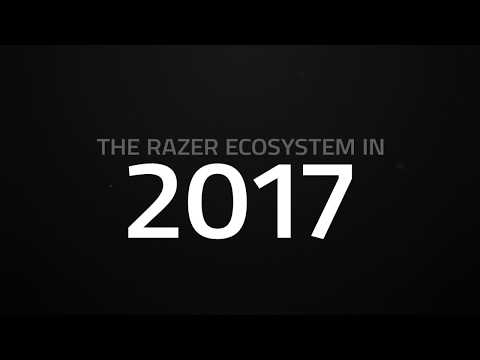 Razer in Numbers - 2017