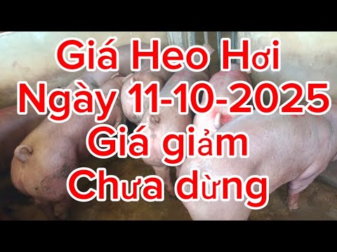 Giá giảm chưa dừng
