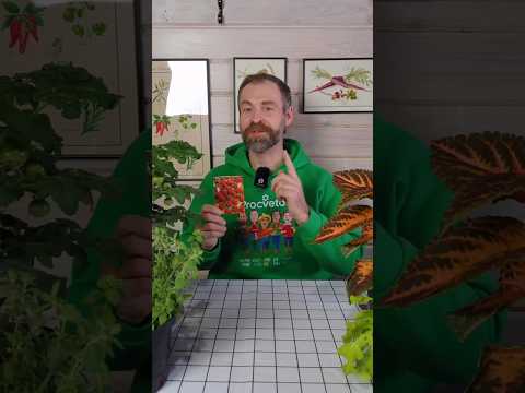 Сладкую ароматную землянику будете собирать всё лето! Только успейте посеять!