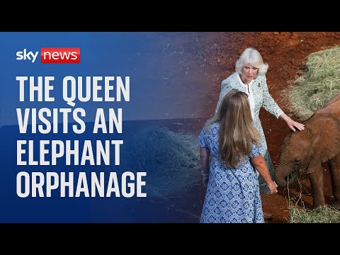 Queen Camilla visits a Kenyan elephant orphanage during state visit