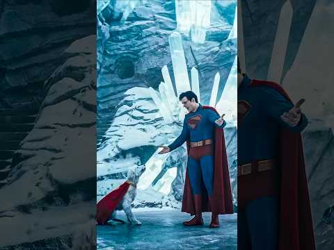 Krypto Annoys Superman 😂