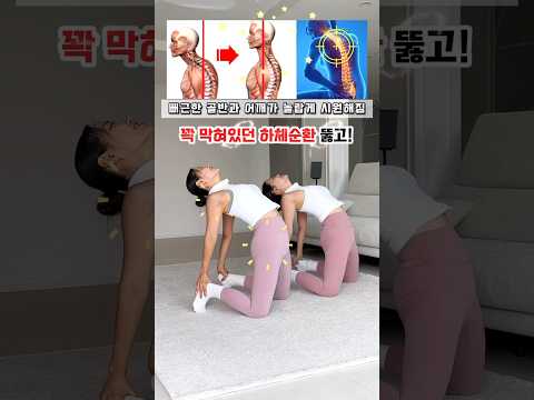 고관절과 어깨가 너무 시원해서 Wow가 절로 나오는 스트레칭 #workout #shoulderstretch