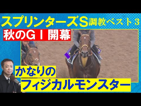 「とんでもないラップ！」ママコチャ、ナムラクレア 、サトノレーヴ・・・競馬エイト・高橋賢司トラックマンの調教解説＜スプリンターズステークス(ＧⅠ)＞