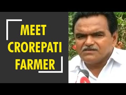 Meet GeenaBhai Patel; a crorepati pomegranate farmer 