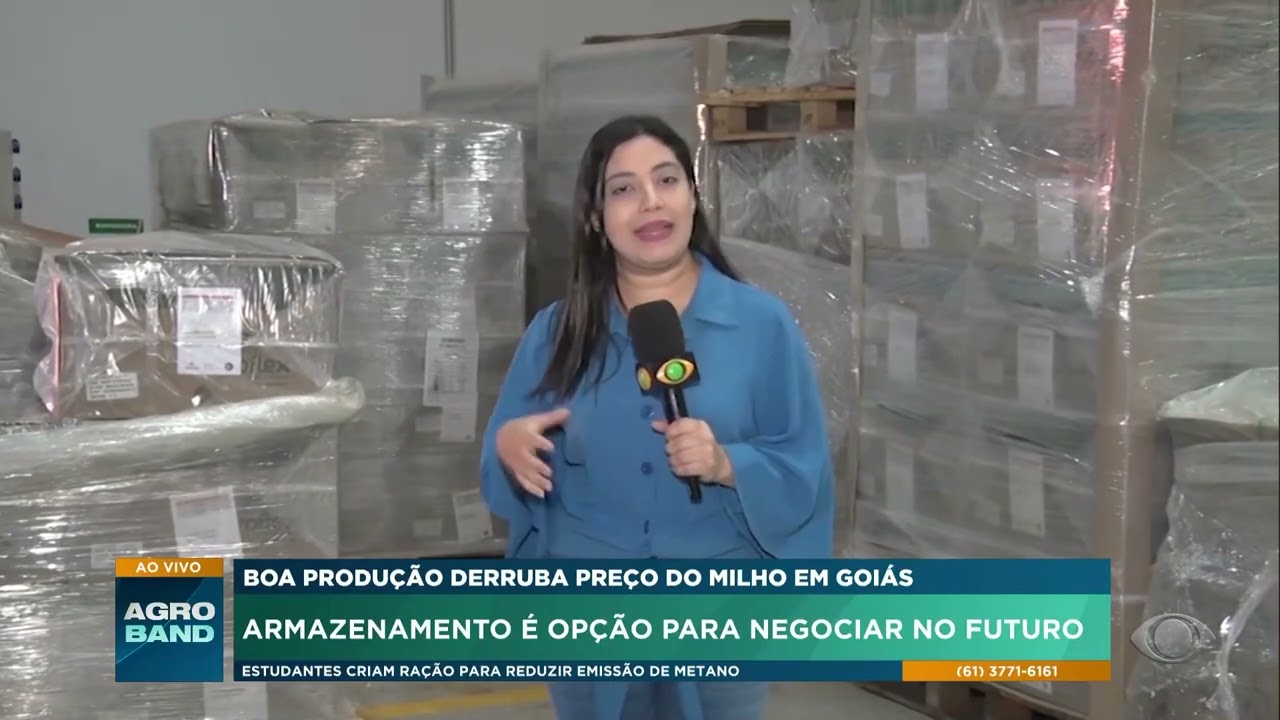 Boa produção abaixa o preço do milho em Goiás