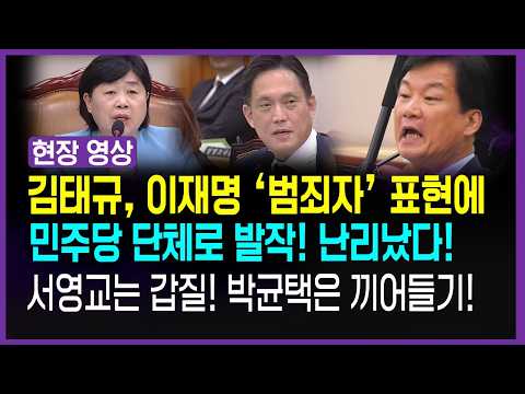 이재명 재판 <strong>중지</strong> 물고 늘어지는 김태규 대활약에 속 뒤집어진 민주당!