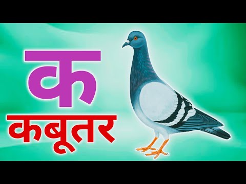 अ से अनार, आ से आम, हिंदी वर्णमाला, ka se kabutar, a seanar, aa se aam, हिंदीस्वरब्यंजन #kidssong