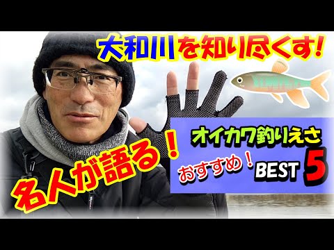 【オイカワのエサ・ランキングベスト5】ヤバい！大和川で5年間オイカワ釣りをしてきたアングラーが語る・オイカワのベストなエサは何？BEST5の輝く第1位はヘラブナのエサ作りで有名なマルキューの・・・