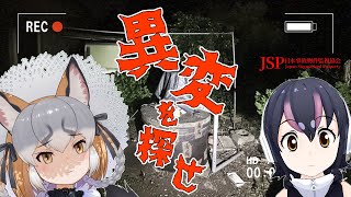 【日本事故物件監視協会】#フンボル島 がいく！日本事故物件の旅！！【シマハイイロギツネ/フンボルトペンギン】