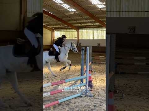 Croyez en vos rêves , dites vous qu’un jour vous allez y arriver 💪🏼💗🌸✨ #modelecapcut #horse