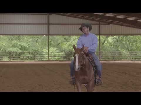 Peter DeFreitas: Training at Your Horse’s Own Pace